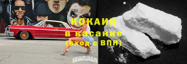 крисы Алексин
