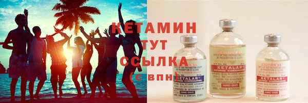 крисы Алексин