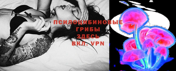крисы Алексин