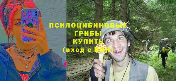 крисы Алексин