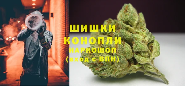 гидропоника Нязепетровск
