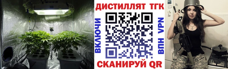 ОМГ ОМГ ссылки  хочу наркоту  Приозерск  Дистиллят ТГК THC oil 