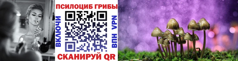Псилоцибиновые грибы ЛСД  MEGA зеркало  Приозерск  хочу наркоту 