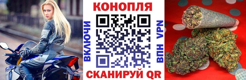 кракен tor  как найти закладки  Приозерск  Конопля White Widow 